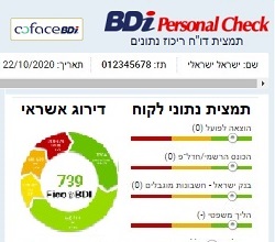 דוח דירוג אשראי